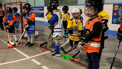 Learn to Play Ball Hockey